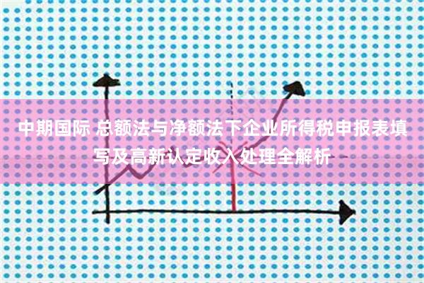 中期国际 总额法与净额法下企业所得税申报表填写及高新认定收入处理全解析