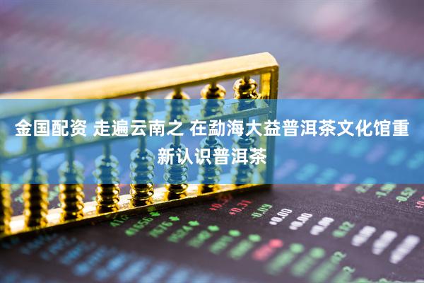 金国配资 走遍云南之 在勐海大益普洱茶文化馆重新认识普洱茶