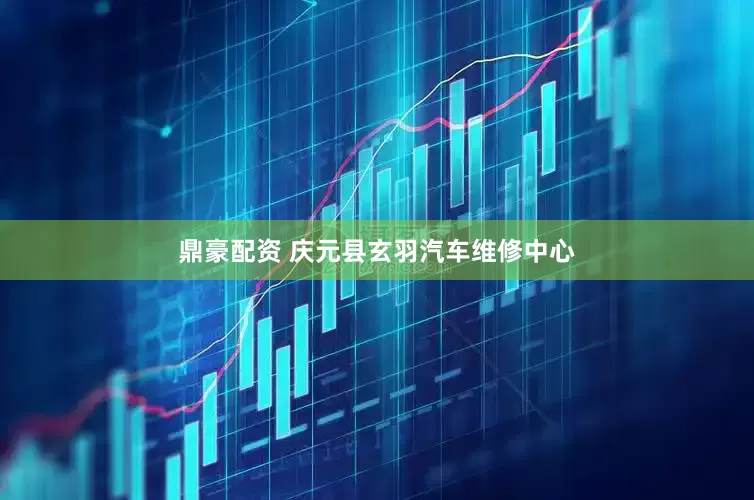 鼎豪配资 庆元县玄羽汽车维修中心